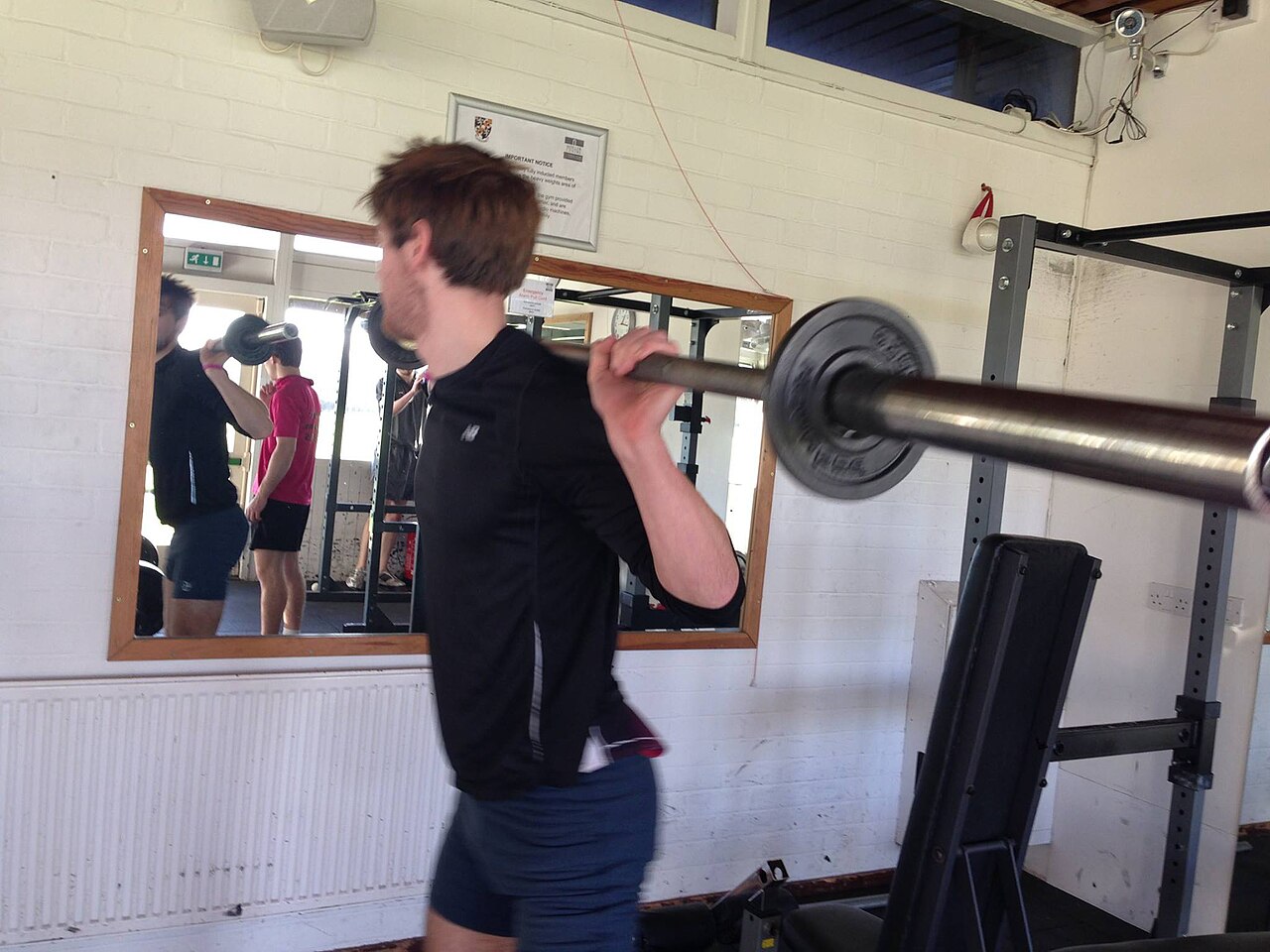 A person squatting with a barbell during a gym workout